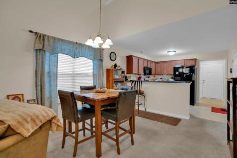 195 Regency Drive Columbia SC 29212