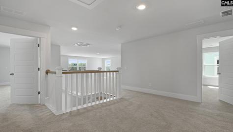241 Livingston Woods Drive Irmo SC 29063