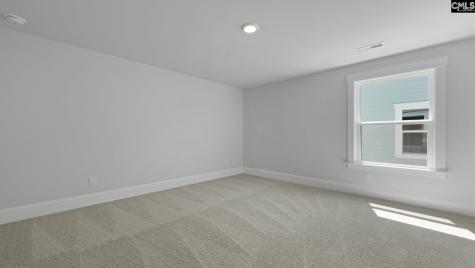 241 Livingston Woods Drive Irmo SC 29063