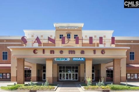 2487 Green Viper Loop Blythewood SC 29016