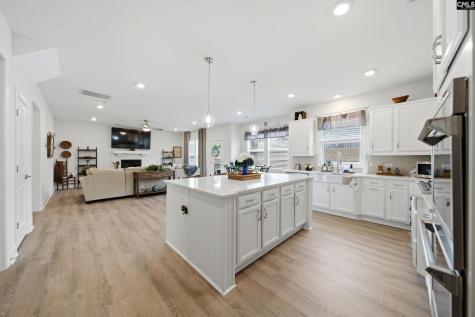 527 Radnor Hunt Court Gilbert SC 29054