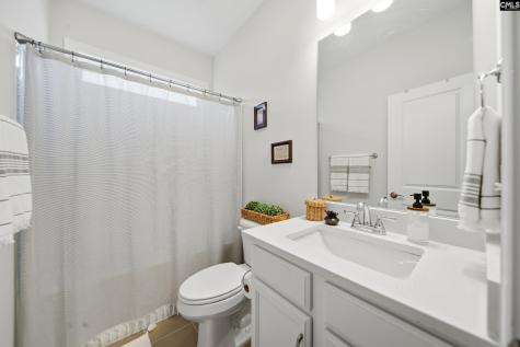 527 Radnor Hunt Court Gilbert SC 29054