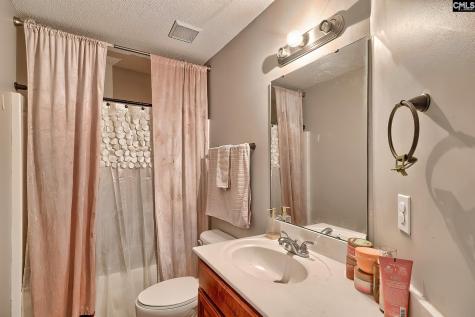 309 Joshua Tree Court Blythewood SC 29016