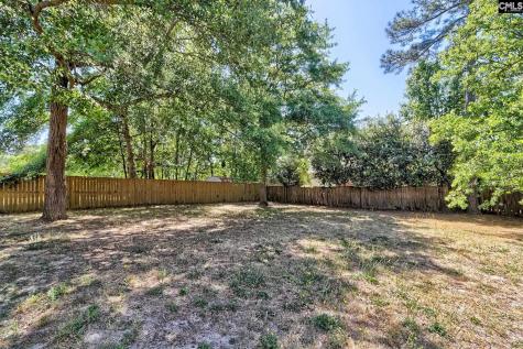 309 Joshua Tree Court Blythewood SC 29016