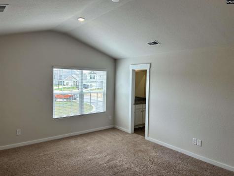 1903 Burning Cider Avenue Gilbert SC 29054