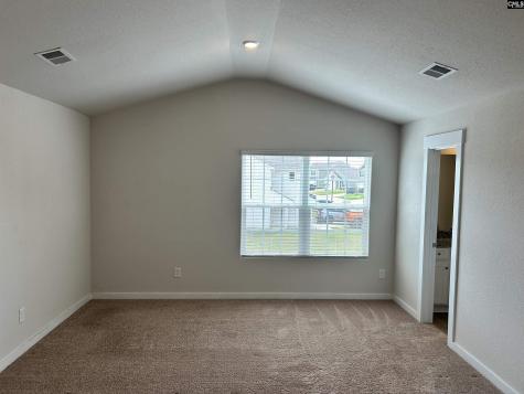 1903 Burning Cider Avenue Gilbert SC 29054