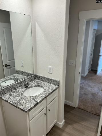 1903 Burning Cider Avenue Gilbert SC 29054