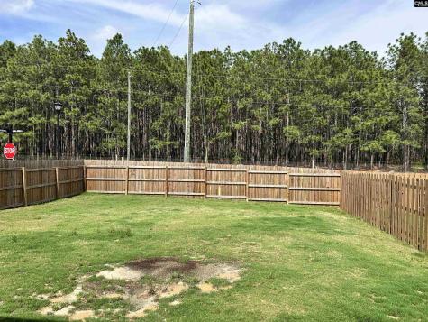 1903 Burning Cider Avenue Gilbert SC 29054