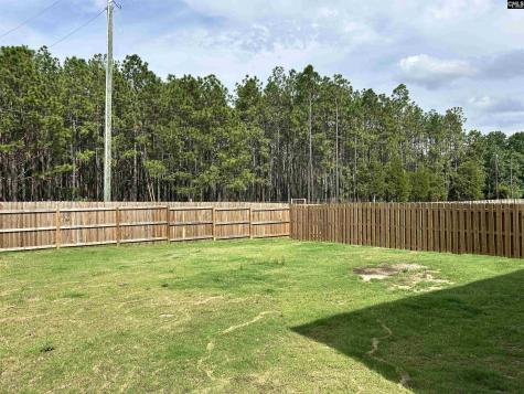 1903 Burning Cider Avenue Gilbert SC 29054