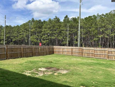 1903 Burning Cider Avenue Gilbert SC 29054