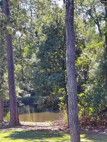 418 Hawkeye Court Columbia SC 29206-5094