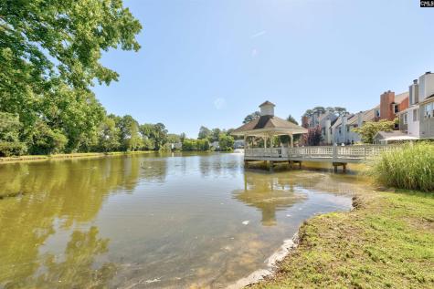 111 Village Walk Columbia SC 29209