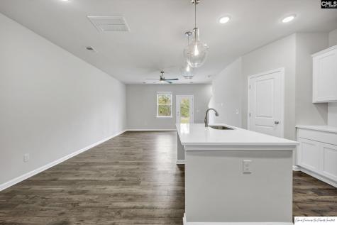 231 Sunny Hill Drive Blythewood SC 29016