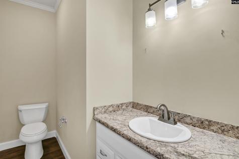 28 Tall Plametto Lane Lexington SC 29072