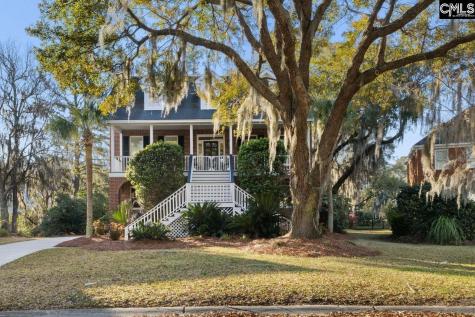 669 Palisades Drive Mt Pleasant SC 29464