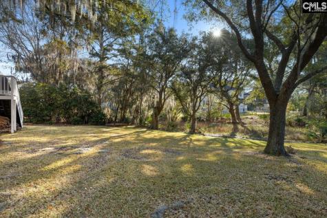 669 Palisades Drive Mt Pleasant SC 29464