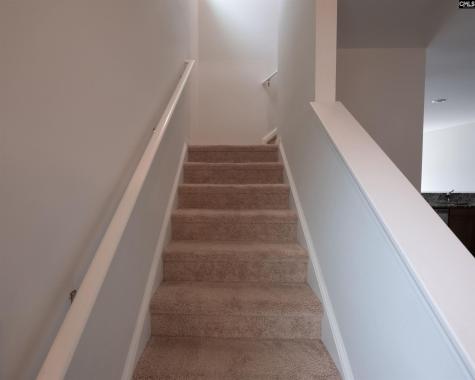 1341 Sweet Gardenia Drive Blythewood SC 29016