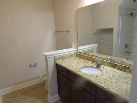 242 Dawsons Park Way Lexington SC 29072