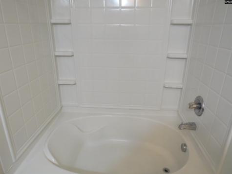 242 Dawsons Park Way Lexington SC 29072