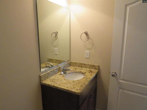 242 Dawsons Park Way Lexington SC 29072