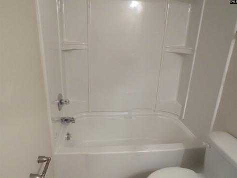 242 Dawsons Park Way Lexington SC 29072