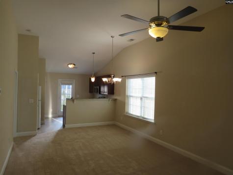 242 Dawsons Park Way Lexington SC 29072