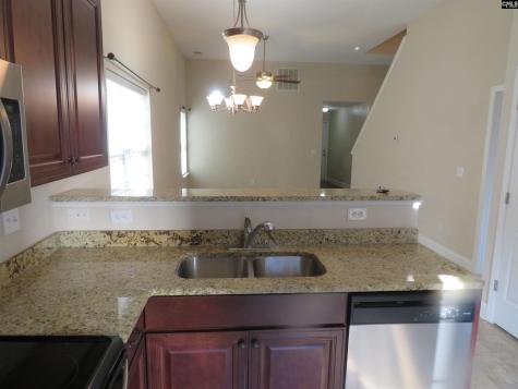 242 Dawsons Park Way Lexington SC 29072