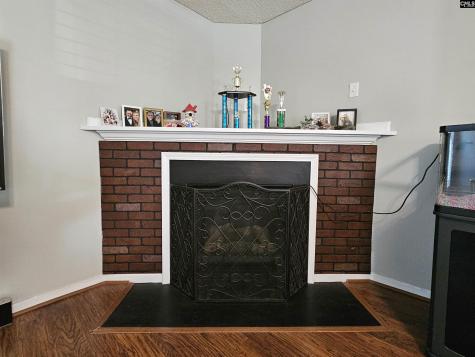 131 Richmond Farm Circle Lexington SC 29072