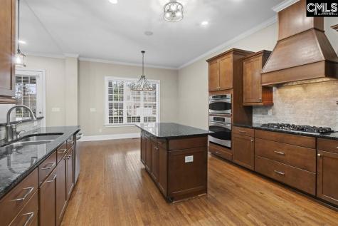 237 Peninsula Way Columbia SC 29229