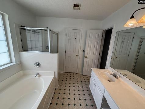 101 Ivy Hill Court Lexington SC 29072