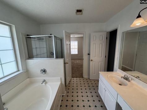 101 Ivy Hill Court Lexington SC 29072