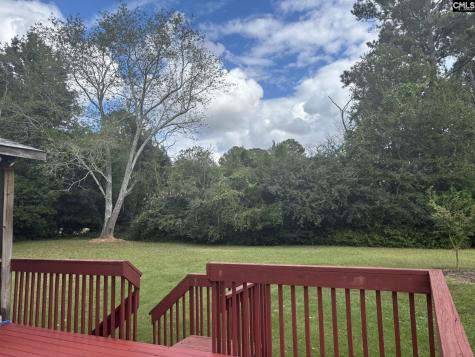 101 Ivy Hill Court Lexington SC 29072