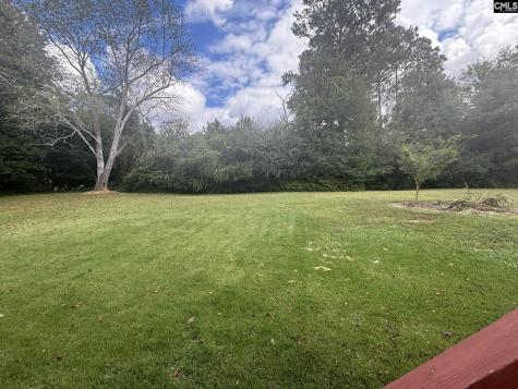 101 Ivy Hill Court Lexington SC 29072