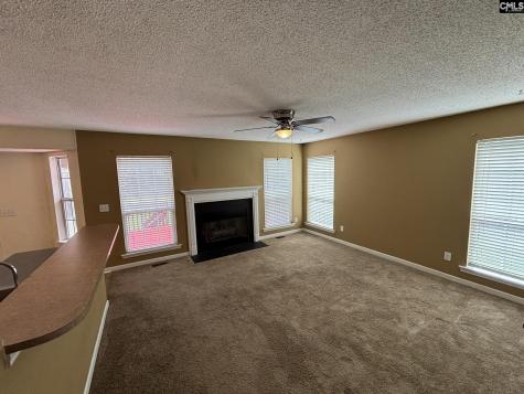 101 Ivy Hill Court Lexington SC 29072