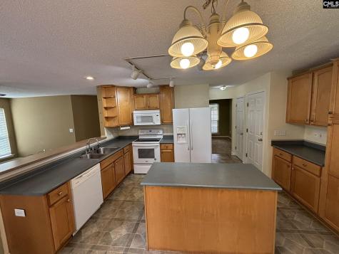 101 Ivy Hill Court Lexington SC 29072