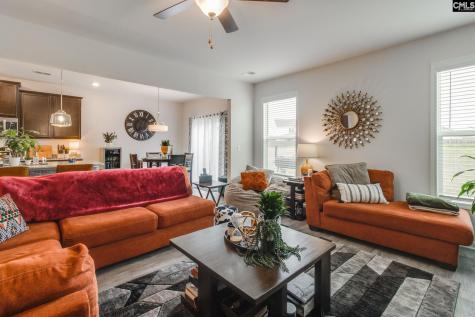 736 Phipps Lane Columbia SC 29209