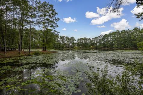 349 Gracemount Lane Columbia SC 29229