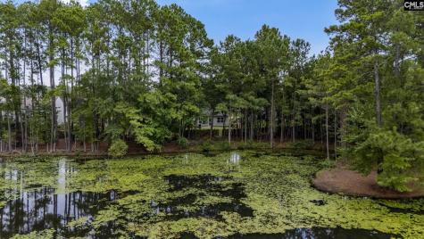 349 Gracemount Lane Columbia SC 29229