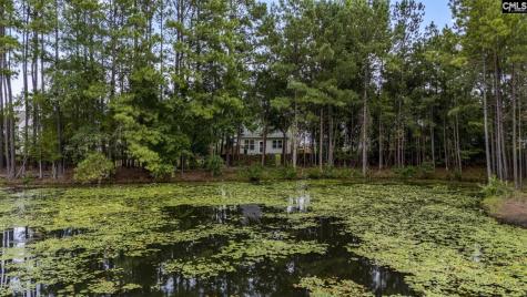 349 Gracemount Lane Columbia SC 29229