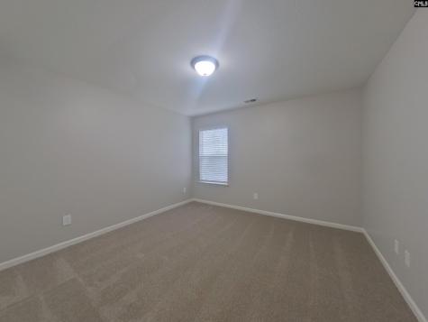 259 Baneberry Loop Lexington SC 29073