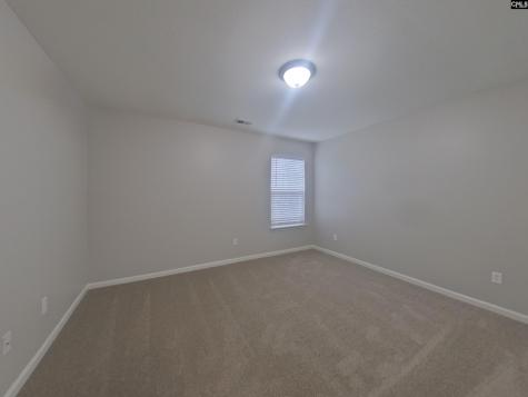 259 Baneberry Loop Lexington SC 29073