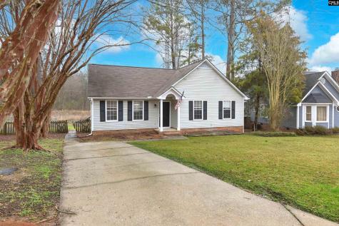233 Braewick Road Columbia SC 29212