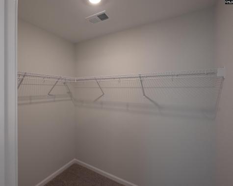 239 Watkin Way Columbia SC 29223