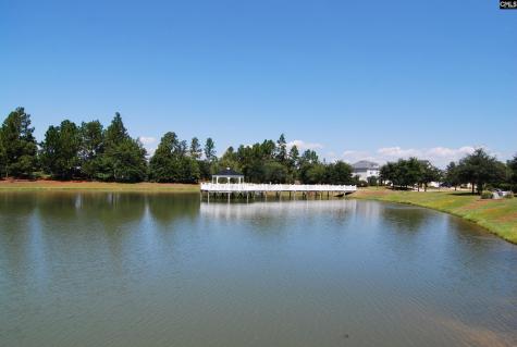 224 Star Hill Lane Lexington SC 29072