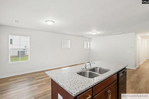 441 Pepperbush Lane Lexington SC 29072