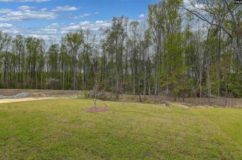 522 Cooley Farm Court Blythewood SC 29016