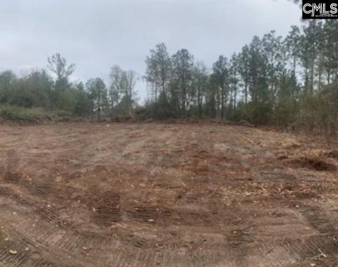 1257B-1 Old Organgeburg Road Lexington SC 29073