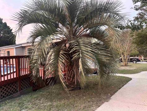 221 Bentgrass Lane Gaston SC 29053