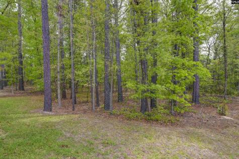 825 Hidden Point Drive Columbia SC 29229