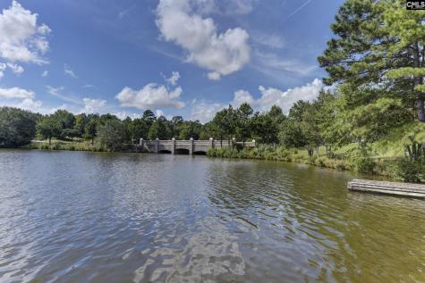 825 Hidden Point Drive Columbia SC 29229